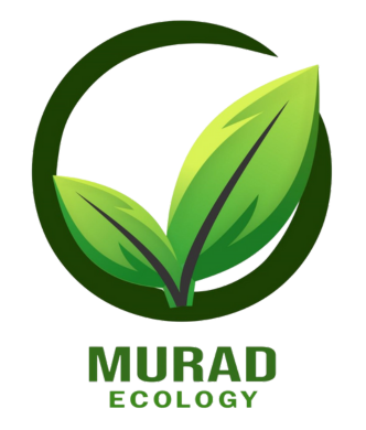 dark logo